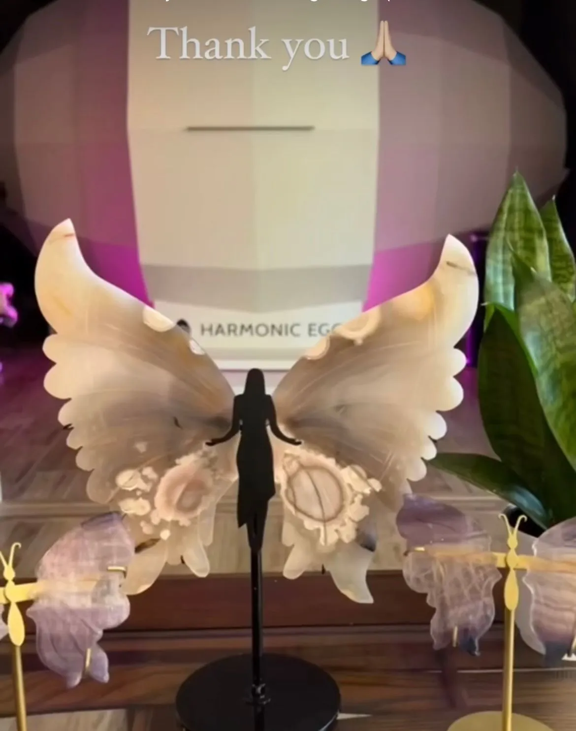 Harmonic Egg entrance with a butterfly display and plants